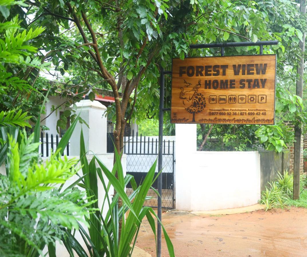 Forest View Home Stay Anuradhapura Εξωτερικό φωτογραφία